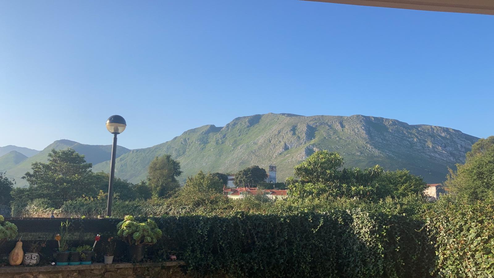 WhatsApp Image 2021-08-24 at 18.45.58